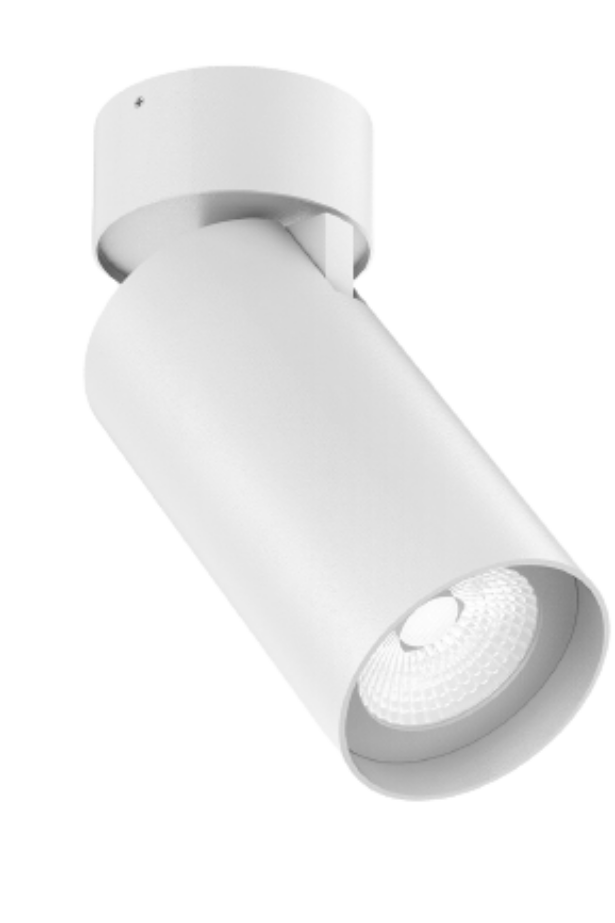 DL207